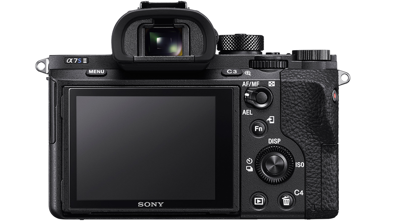 Illustration for article titled Sony A7s II: The Best Low-Light Mirrorless Camera Now Records 4K Video Onboard